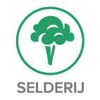 Selderij